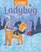 圖片 LADYBUG過刊