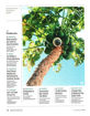 圖片 HARVARD BUSINESS REVIEW 紙+網 (MARINE)
