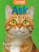 圖片 ASK