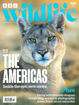 圖片 BBC Wildlife (UK)