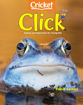 圖片 CLICK