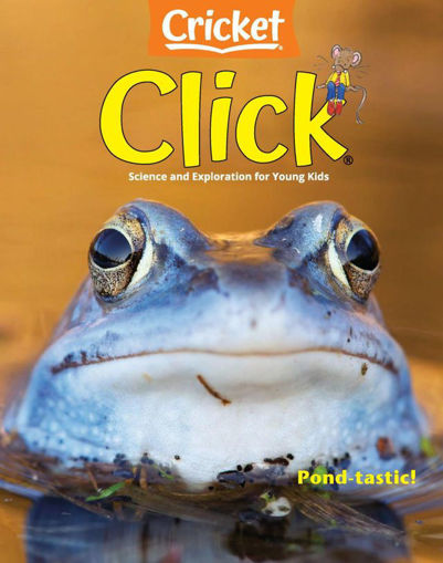 圖片 CLICK