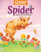 圖片 SPIDER