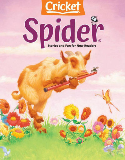 圖片 SPIDER