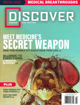 圖片 DISCOVER