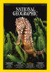 圖片 NATIONAL GEOGRAPHIC (海運版)