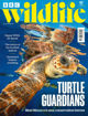 圖片 BBC Wildlife (UK)