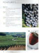 圖片 WINE MAKER