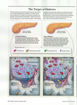 圖片 SCIENTIFIC AMERICAN過刊