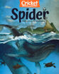 圖片 SPIDER過刊