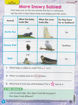 圖片 預購Scholastic News Grade 1 (2025-2026學年)