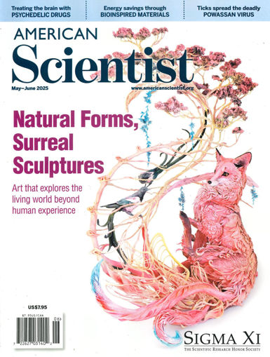 圖片 AMERICAN SCIENTIST