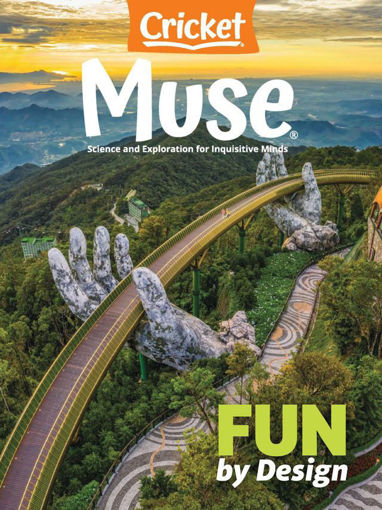圖片 MUSE