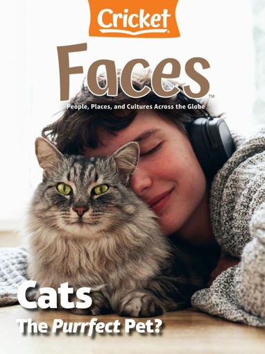 圖片 FACES