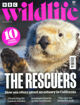 圖片 BBC Wildlife (UK)