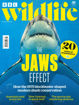 圖片 BBC Wildlife (UK)