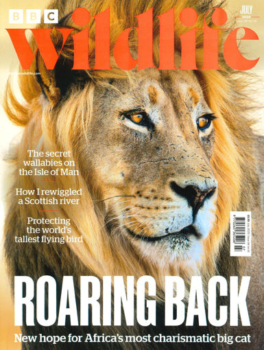 圖片 BBC Wildlife (UK)