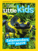 圖片 N. G. LITTLE KIDS