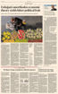 圖片 Financial Times+網版-訂閱1年312期