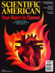 圖片 SCIENTIFIC AMERICAN