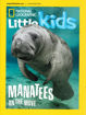 圖片 N. G. LITTLE KIDS