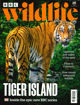 圖片 BBC Wildlife (UK)