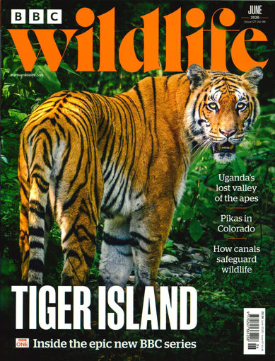 圖片 BBC Wildlife (UK)