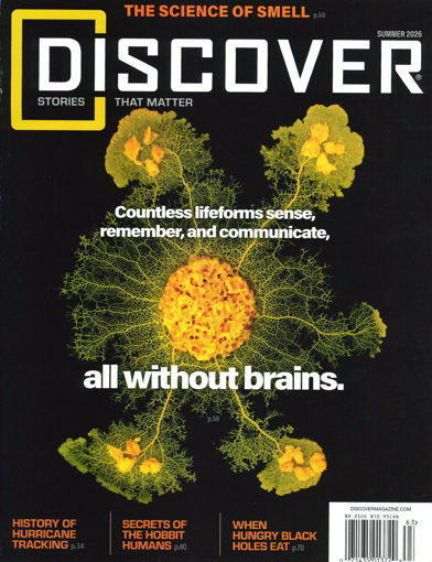 圖片 DISCOVER