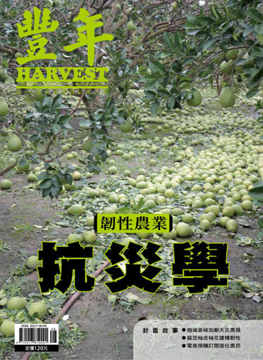 圖片 豐年雜誌
